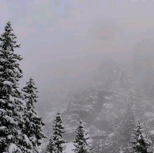 Meet your Posher, Tj